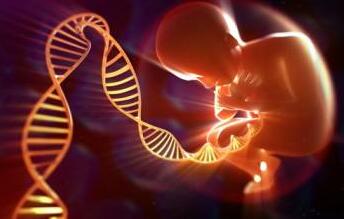 王医生